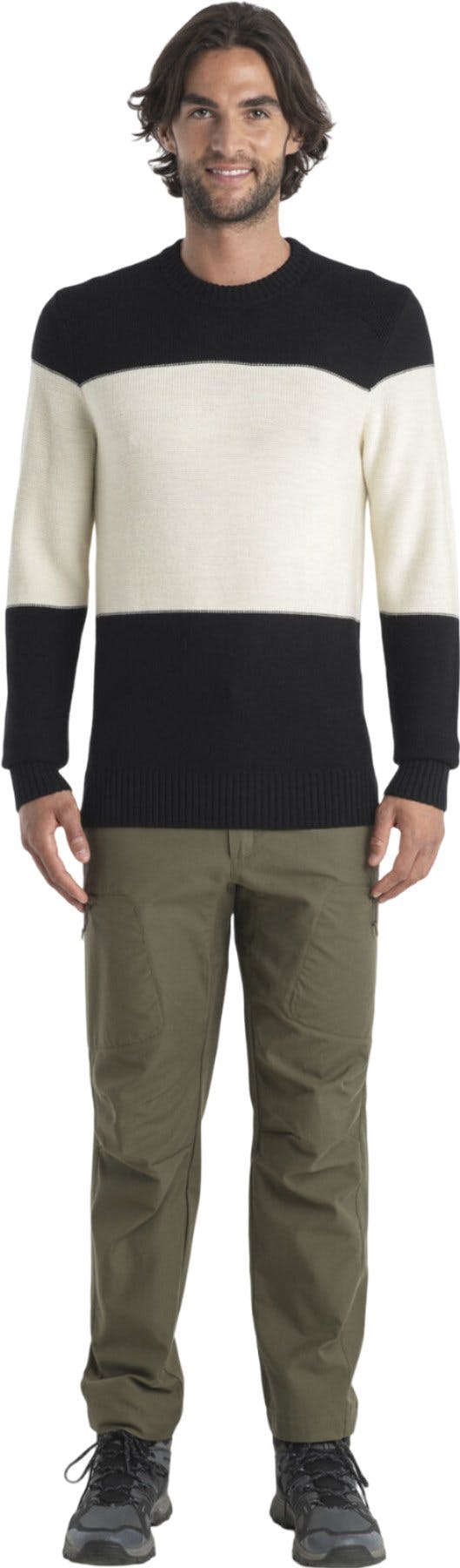 Product image for Merino Waypoint Crewe Sweater - Men's