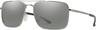 Couleur: Polarized Platinum Mirror - Matte Silver