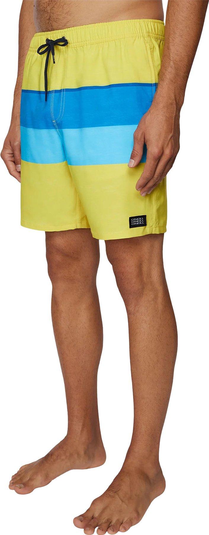 Product gallery image number 4 for product Hermosa Volley Boardshorts - Men's