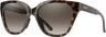 Couleur: Vintage Tortoise - Polarized Brown Gradient