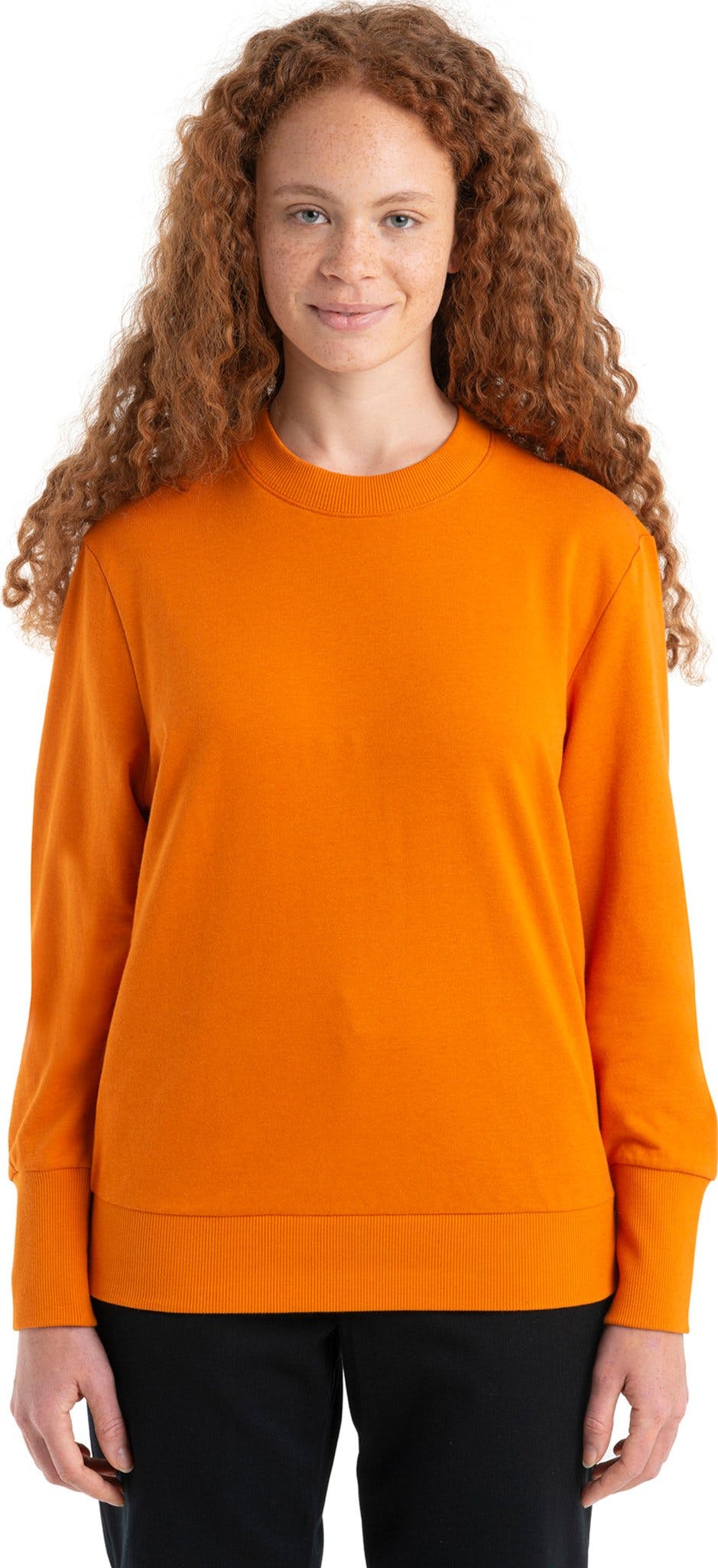 Image de produit pour icebreaker Women's Merino Central II Long Sleeve Sweater