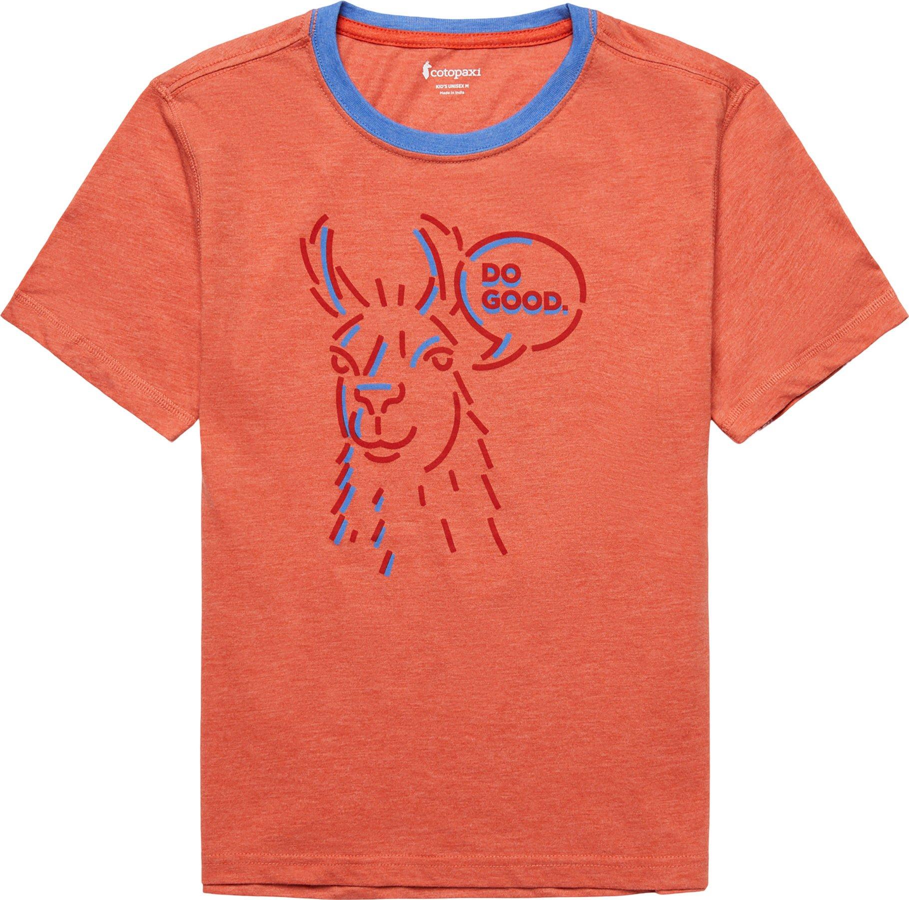 Image de produit pour T-shirt Talking Llama - Enfant