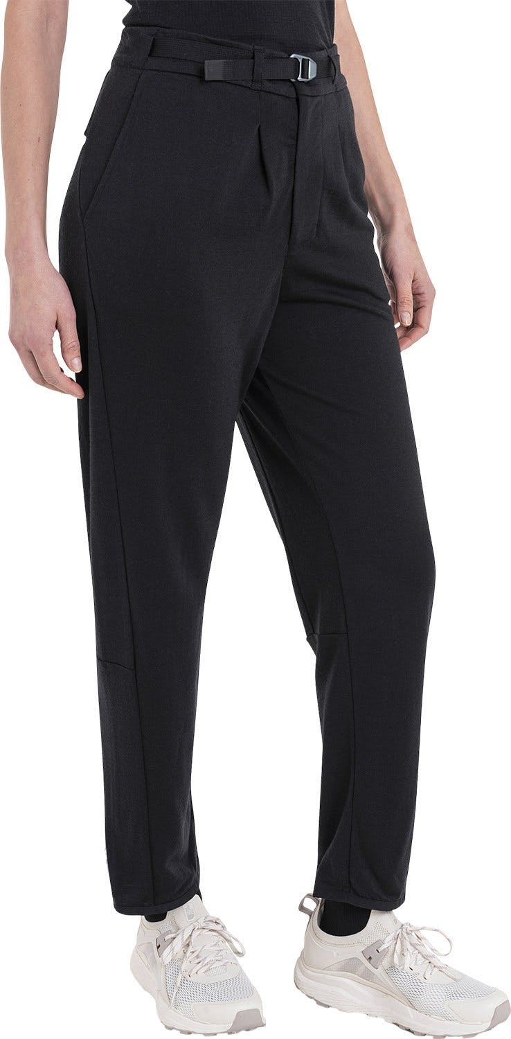 Numéro de l'image de la galerie de produits 4 pour le produit Icebreaker x TNF Pantalon en laine mérinos - Femme