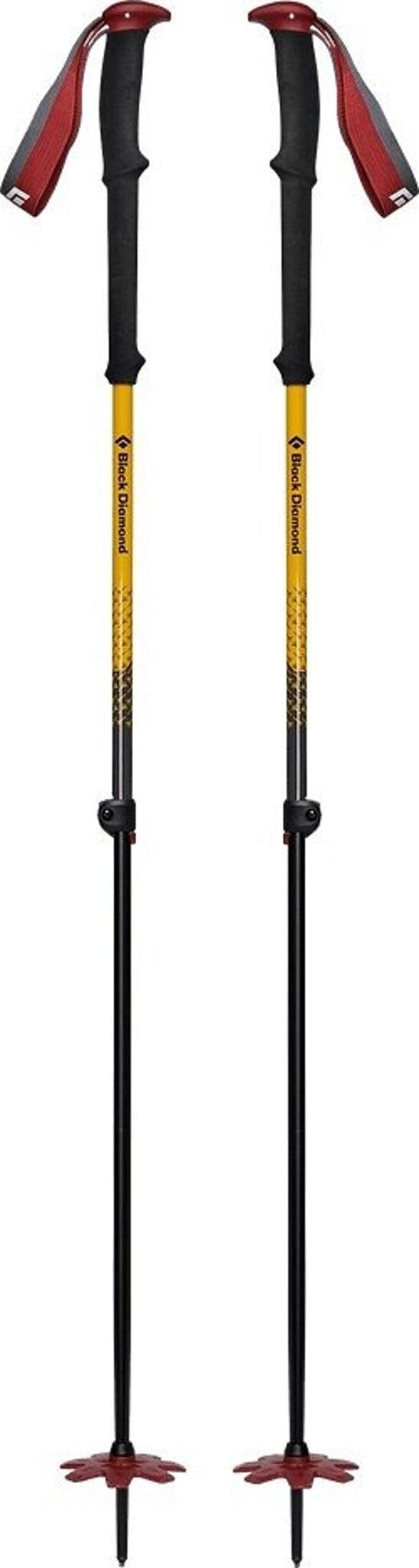 Product gallery image number 1 for product Expedition Jc Ski Poles - Unisex