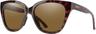 Colour: Tortoise - Chromapop Polarized Brown