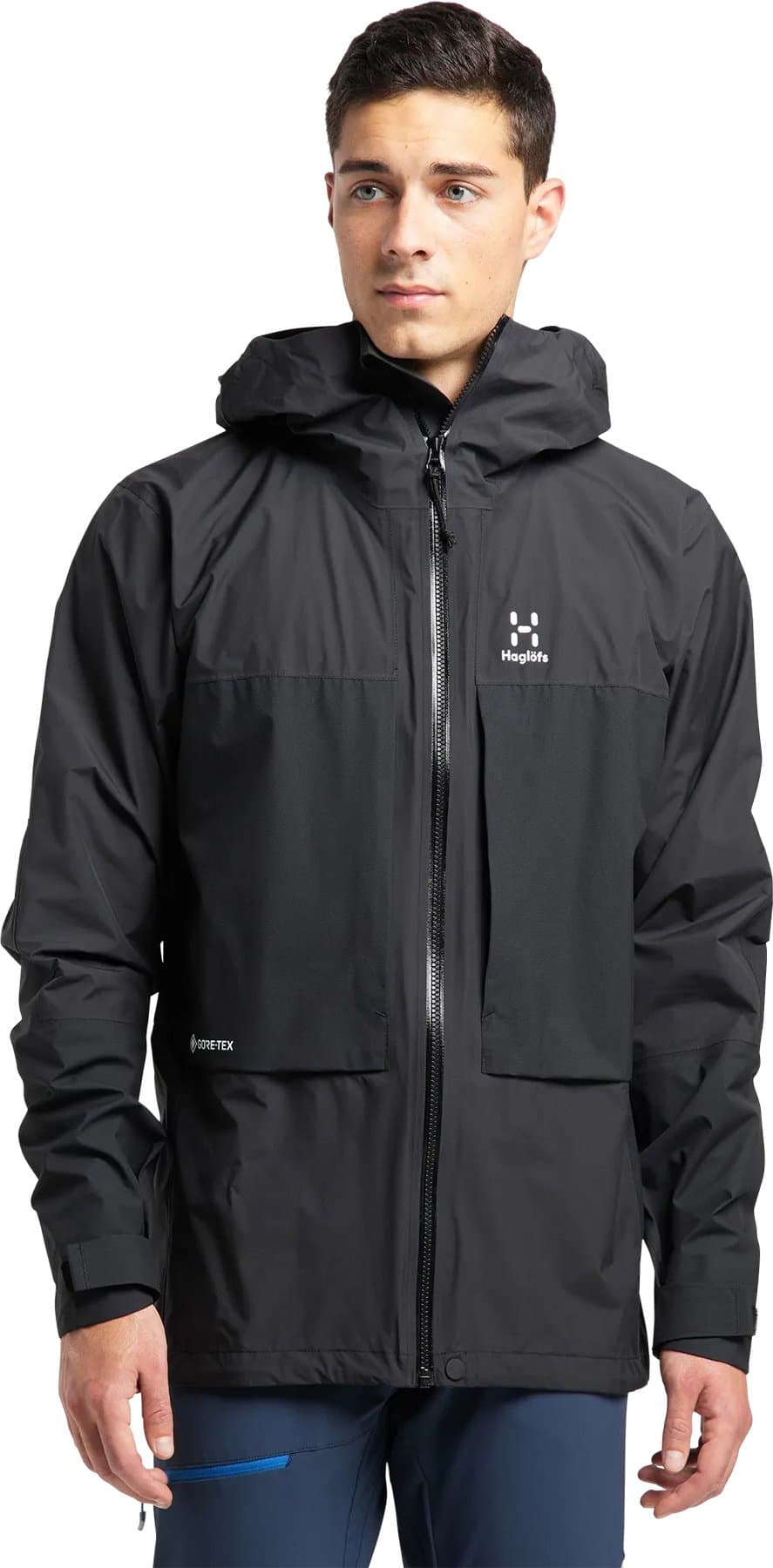 Product gallery image number 3 for product Roc Sheer GTX Jacket - Men's