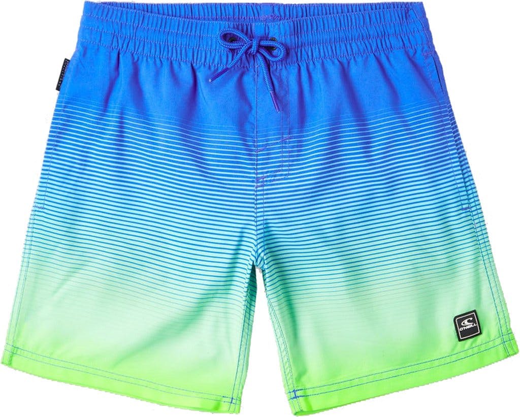 Product image for Cali Gradient 14 In Volley Shorts - Boys