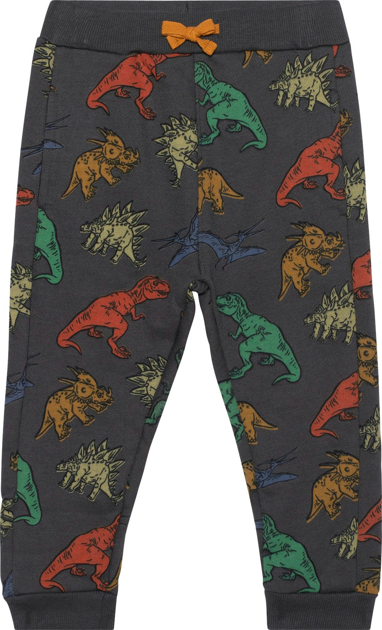 Product image for Printed French Terry Pant - Little Boys