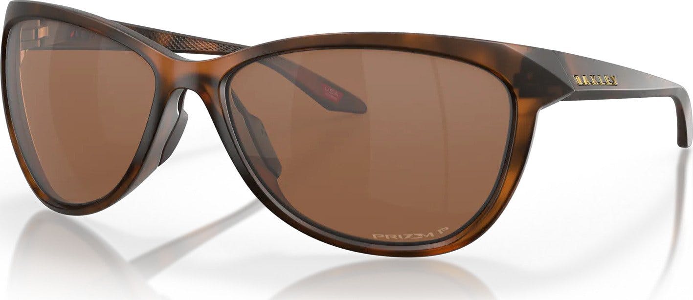 Matte Brown Tortoise - Prizm Tungsten Iridium Polarized