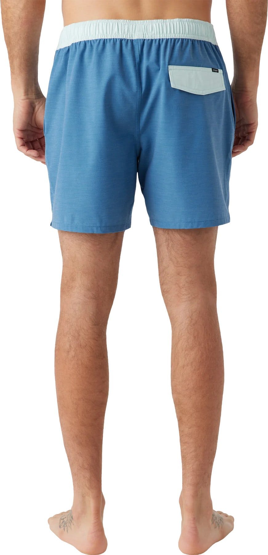 Product gallery image number 3 for product OG Solid Volley Swim Trunk 16" - Men's