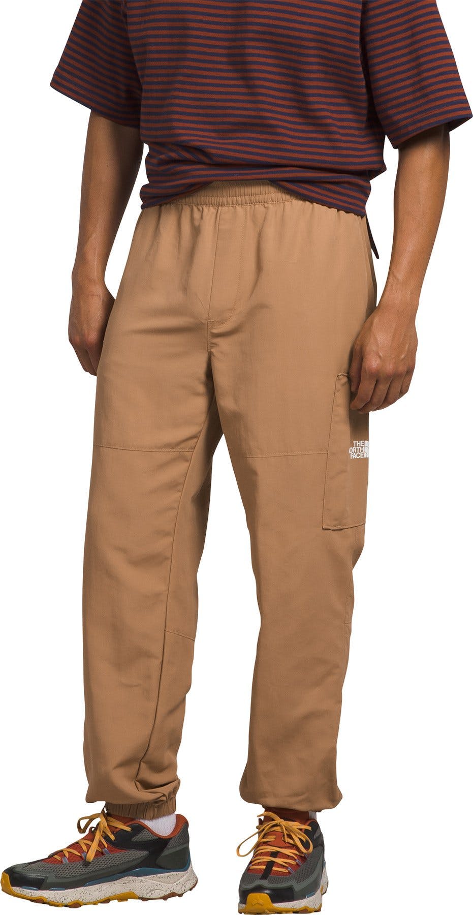 Image de produit pour Pantalon TNF Nylon Easy - Homme