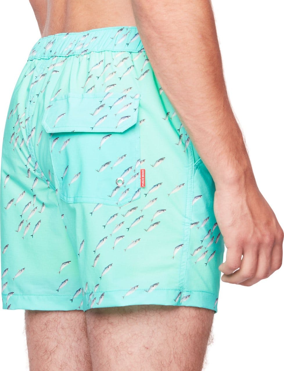 Product gallery image number 2 for product Fish Tank Swim Shorts - Men's