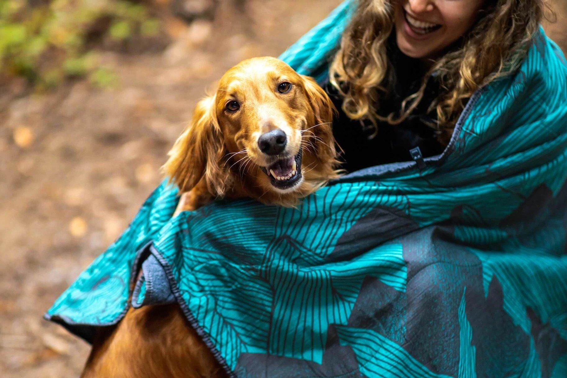 Product gallery image number 5 for product FieldDay Blanket