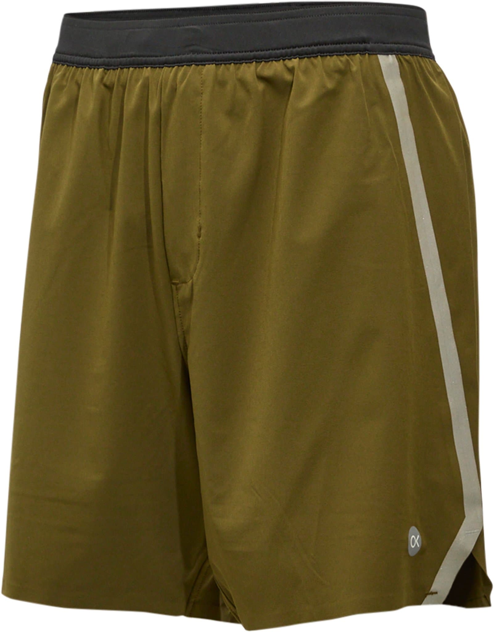 Product gallery image number 2 for product Endurance Lined Volley Shorts - Men's