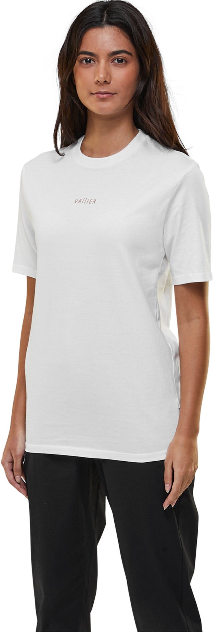 Product gallery image number 3 for product Canal de Lachine Organic T-Shirt - Unisex