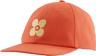 Colour: Petal Power - Coho Coral