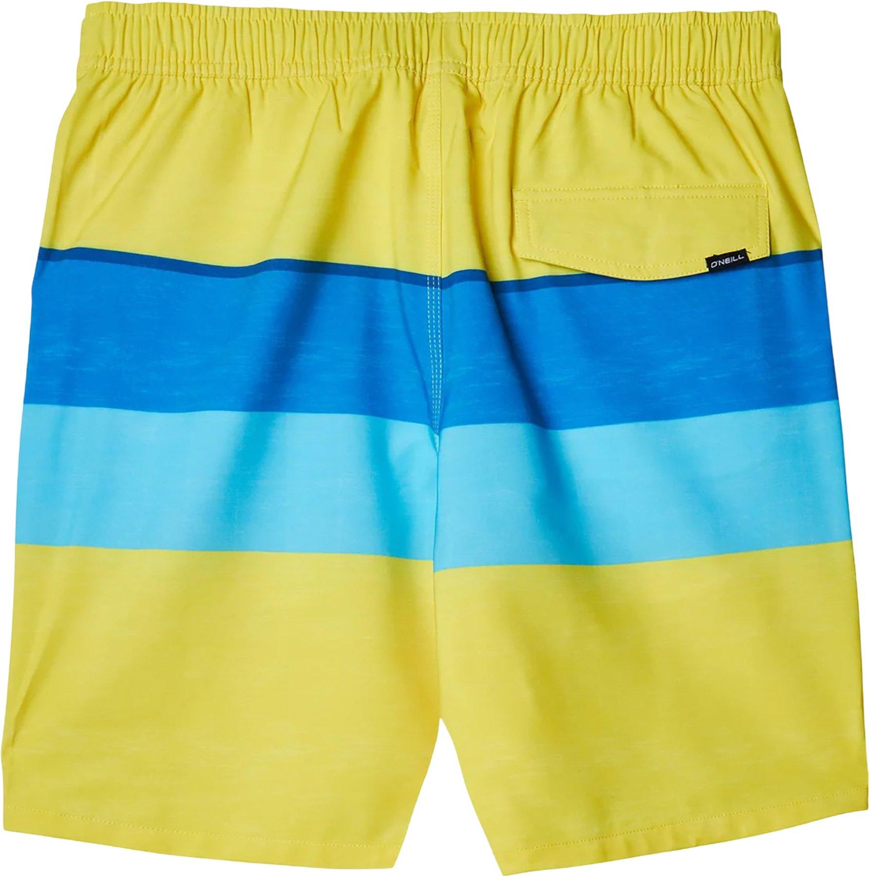 Product gallery image number 2 for product Hermosa Volley Boardshorts - Men's