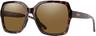 Couleur: Tortoise - Chromapop Polarized Brown