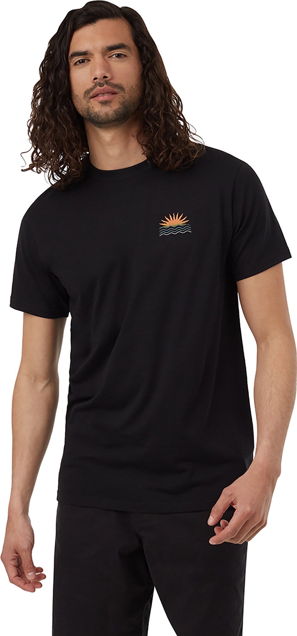 Product gallery image number 1 for product Tentree Sunset T-Shirt - Men's