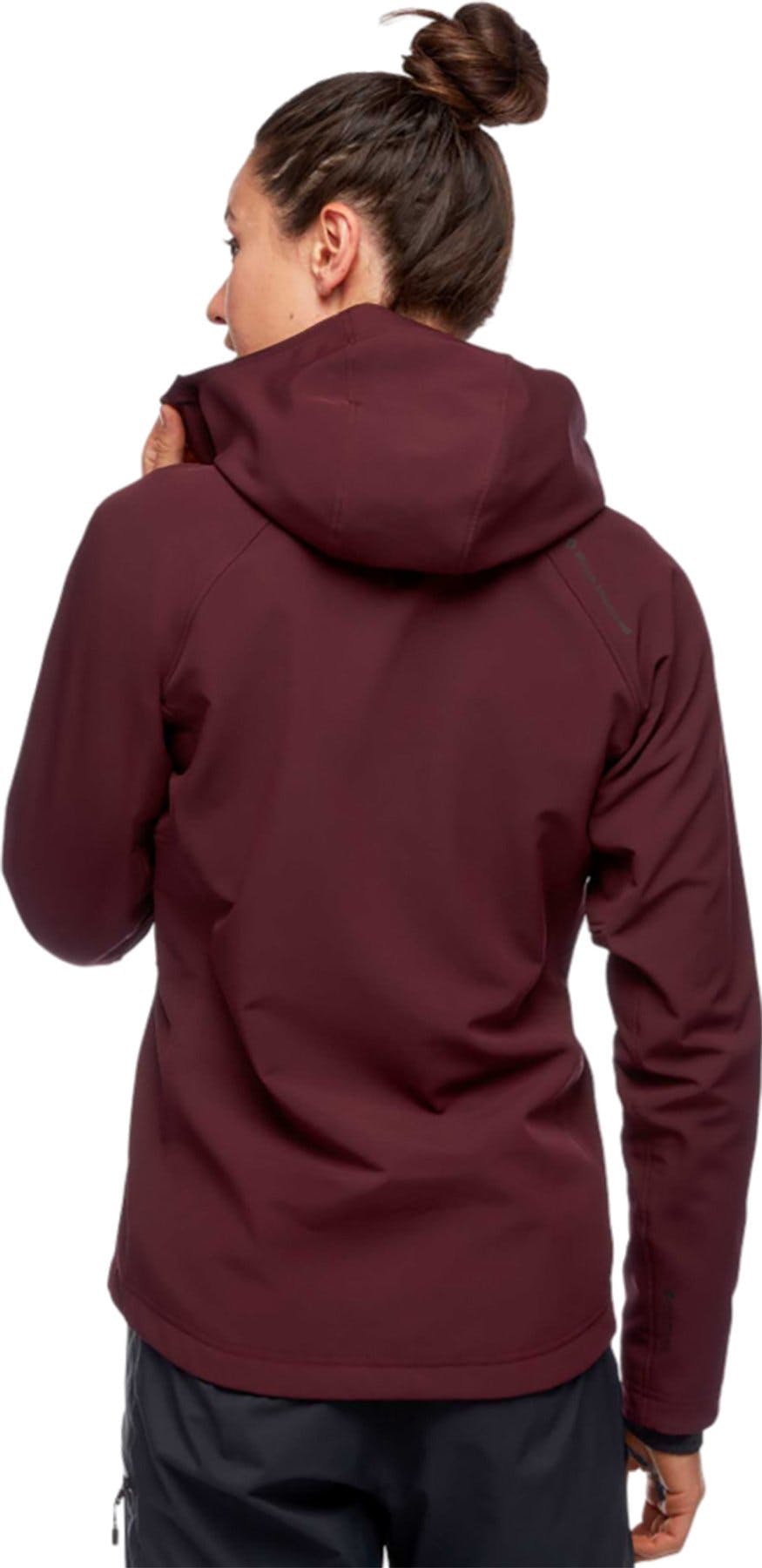 Product gallery image number 2 for product Element Hoody - Women's