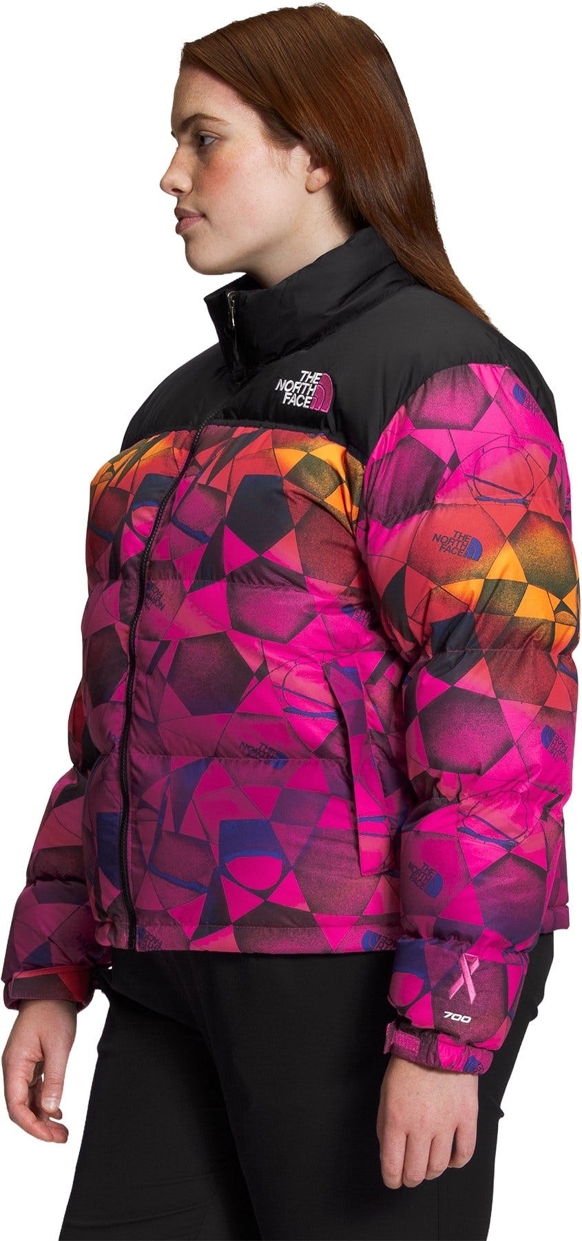 Product gallery image number 3 for product 1996 Retro Nuptse Plus Size Printed Jacket - Women’s