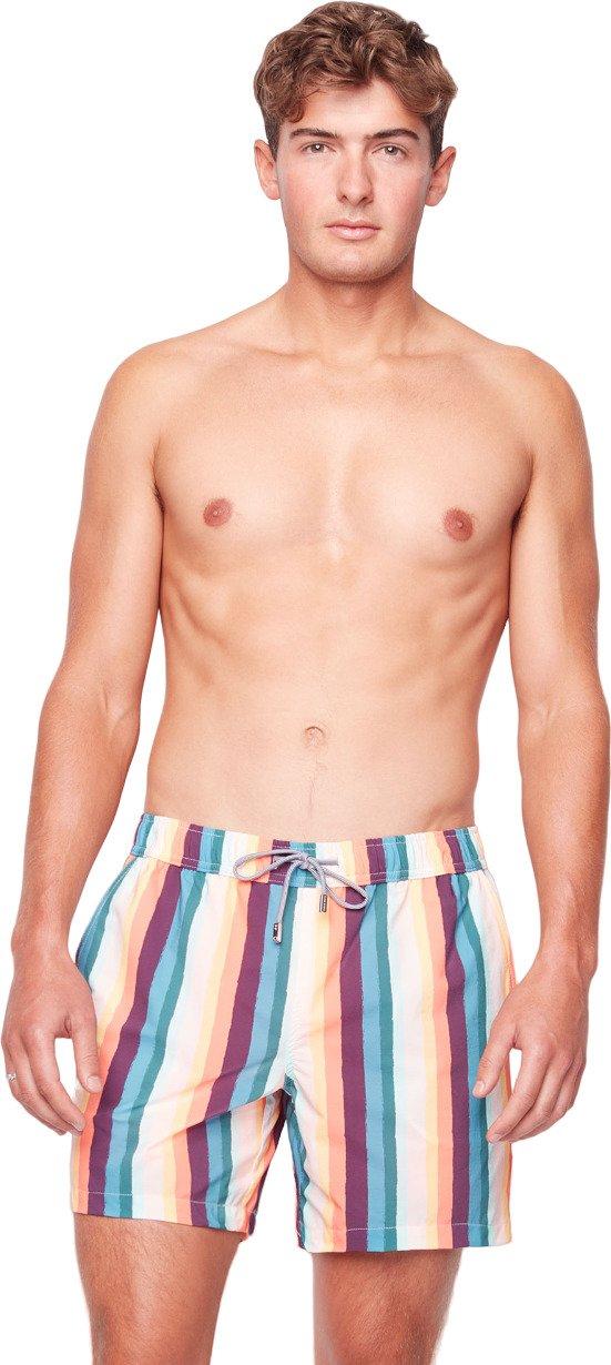 Numéro de l'image de la galerie de produits 1 pour le produit Short de bain Stripes 2.0 - Hommes